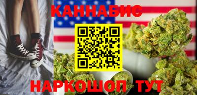 дмт Аргун