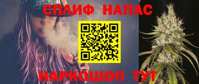 дмт Аргун