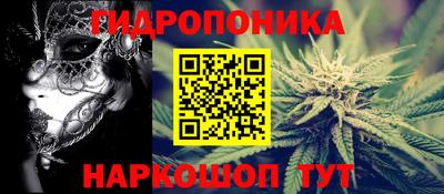 дмт Аргун