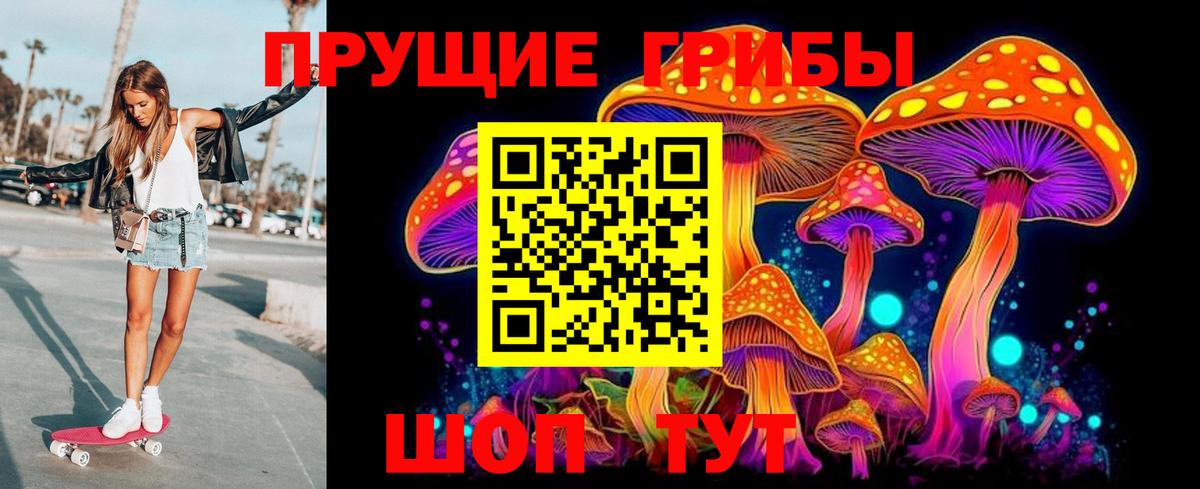 Псилоцибиновые грибы Psilocybine cubensis Артём