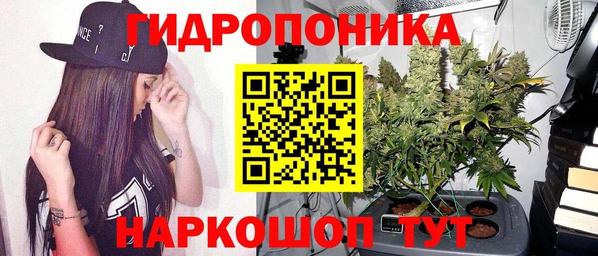Артём  Бошки марихуана AK-47  Канабис AK-47  Вход с VPN 